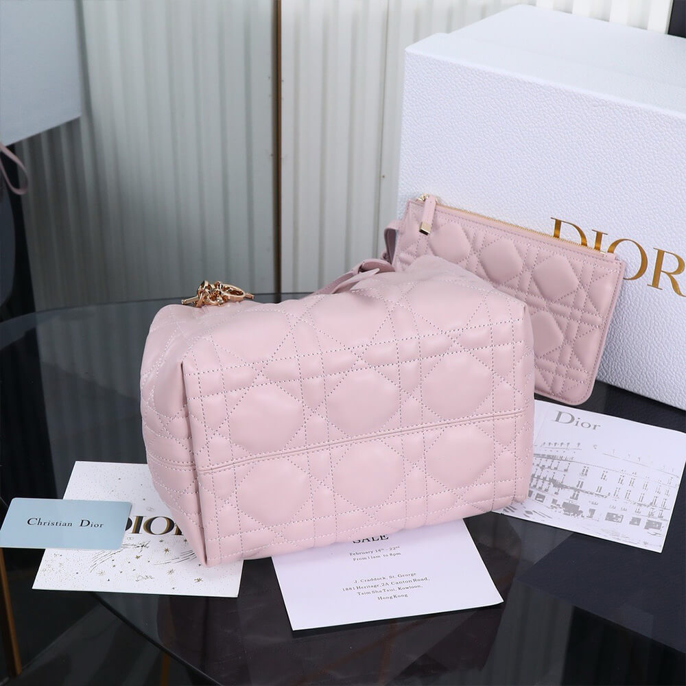 small D*or toujours bag(high-end grade)