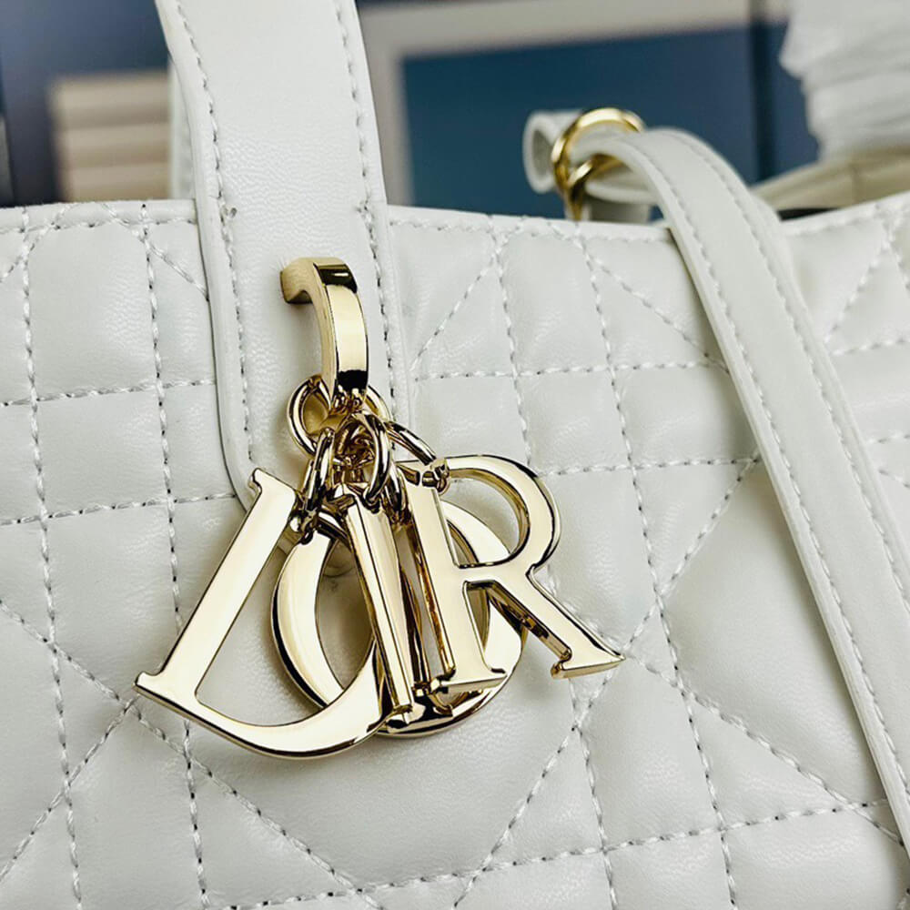 small D*or toujours bag